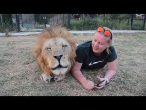 У ГОСТЕЙ ИСТЕРИКА! Очень необычное Сафари