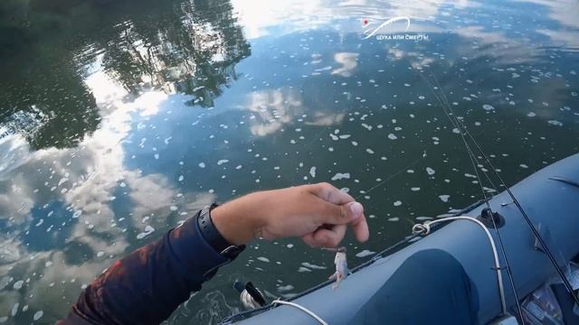 5 секретов ЛОВЛИ ОКУНЯ ✔️ Как НАЙТИ и ПОЙМАТЬ ОКУНЯ смотреть онлайн