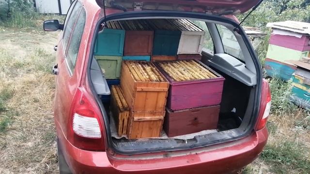 Снятие магазинов 10 августа смотреть онлайн