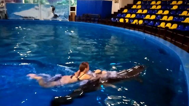 Я плаваю с дельфином! (2020 год) смотреть онлайн
