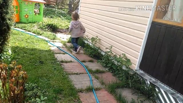 ?ТИПЫ ЛЮДЕЙ НА ДАЧЕ ? смотреть онлайн