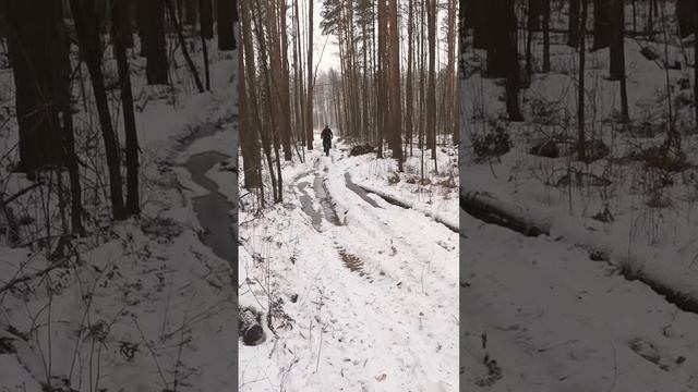 #fatbike #kingbike #снег #велосипед #зима2023 #лед #скорость #бескамерка #давления #низкоедавление смотреть онлайн