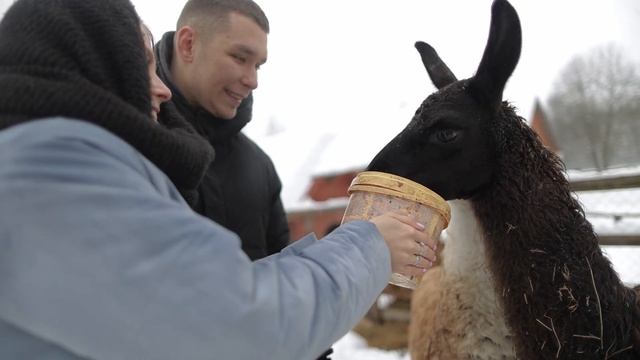 Романтический отдых на острове для двоих смотреть онлайн