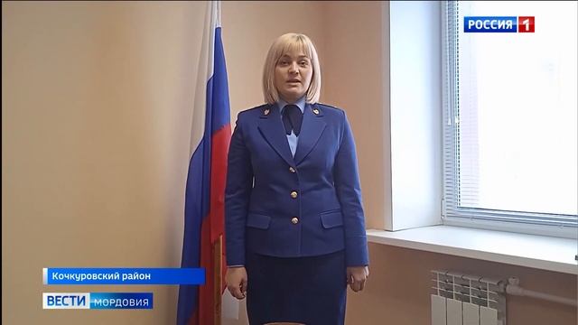 Что будут делать с бродячими собаками? смотреть онлайн