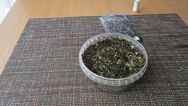 Быстрое проращивание семян лаванды!!! .Всходы лаванды!. Мой способ №2 - удачный! лаванда из семян. смотреть онлайн