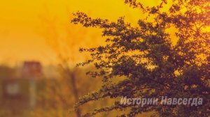 Многодетная мать в наследство получила старый дом. Переступив порог, она…