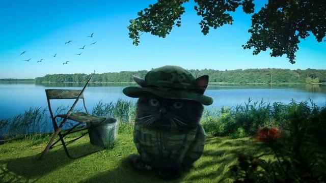 Джекбокс с зрителями смотреть онлайн