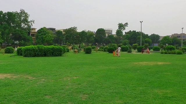 Abandoned Kitten Was Starving And Struggling To Survive Until This Happened