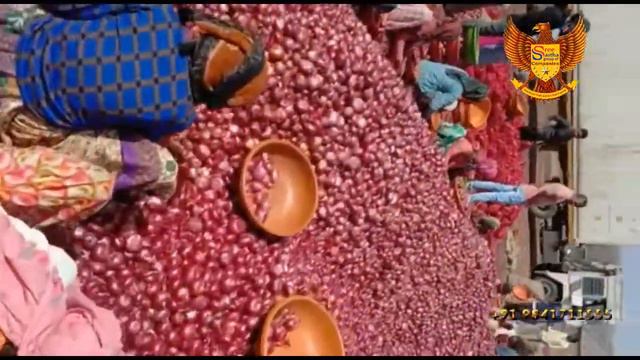 Onion Export To Dubai - India - WhatsApp: +91 9841711555
