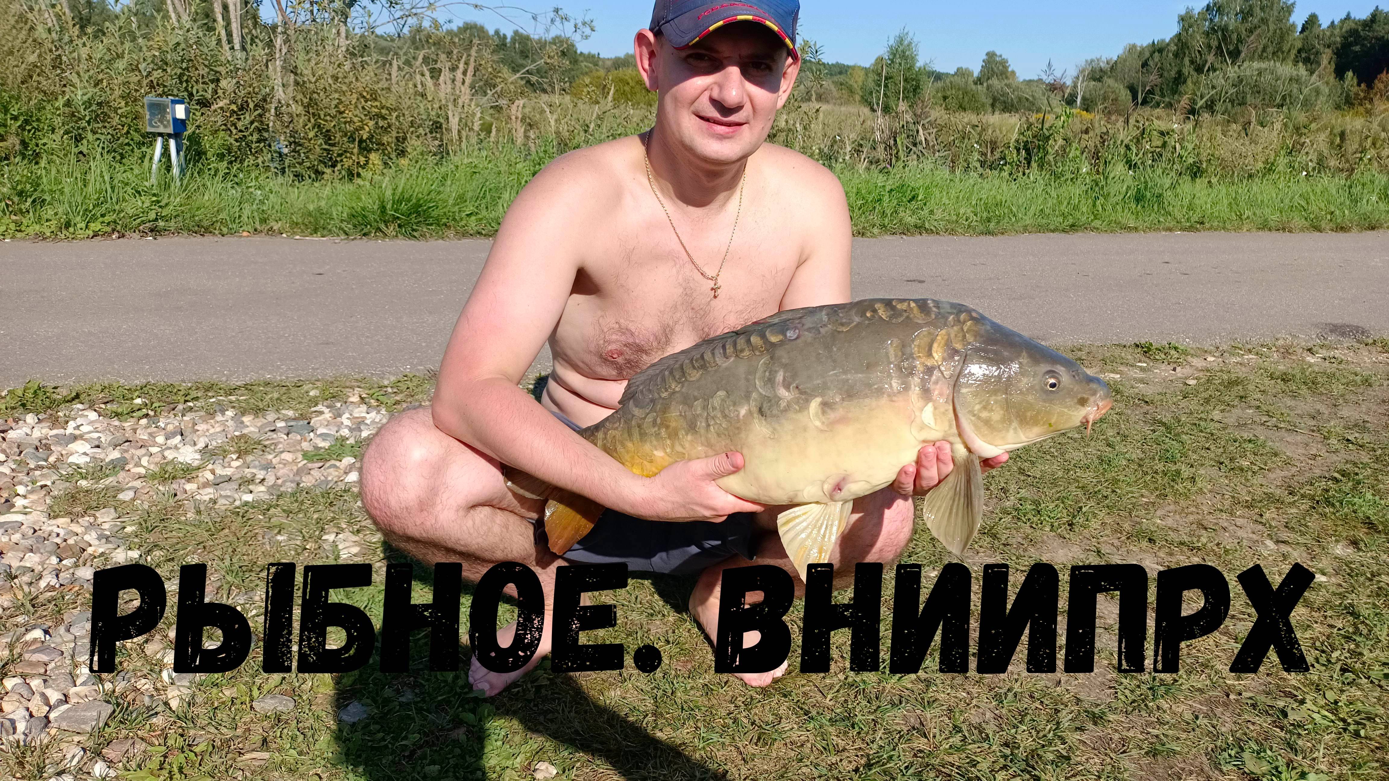 Трофеи ВНИИПРХ