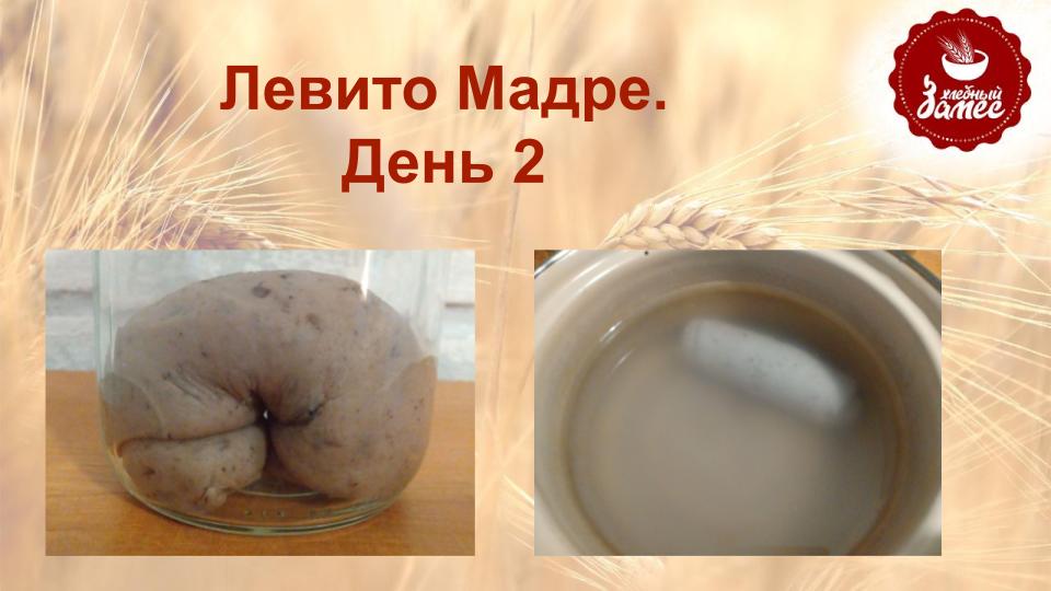 Левитушка. День 2