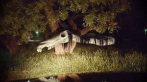 Вся Правда о LONG HORSE?! - Разбор Персонажа Тревора Хендерсона Долговязая Лошадь Лонг Хорс #3