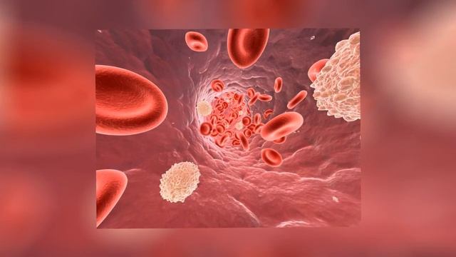 НИКОГДА НЕ УПОТРЕБЛЯЙТЕ ИМБИРЬ, ЕСЛИ ВЫ ИЗ ЭТОЙ ГРУППЫ ЛЮДЕЙ!