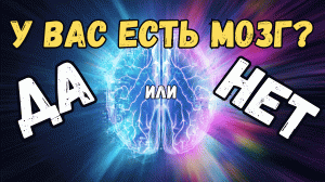 Викторина «ДА или НЕТ» - Выпуск 2 / Проверь свой мозг!