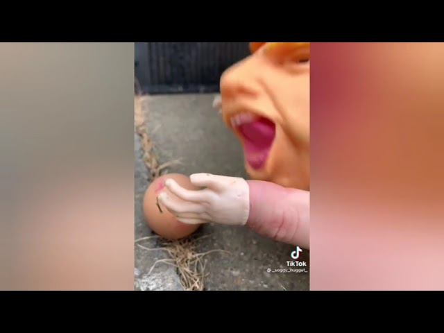 Трамп ест сырое яйцо, кукла на руку смотреть онлайн