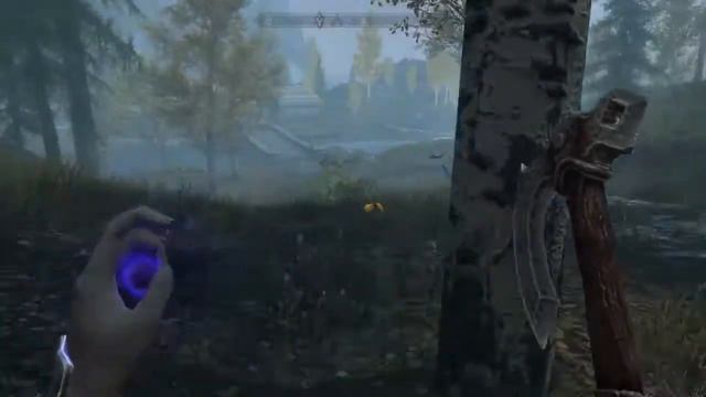 Skyrim Mod: Adventures Of Potato Water Drunkinski