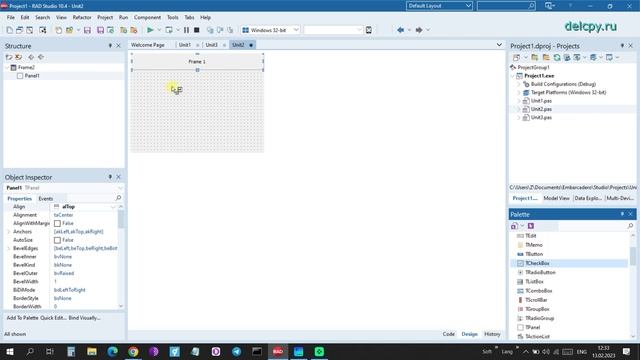 Frame Delphi. Embarcadero.