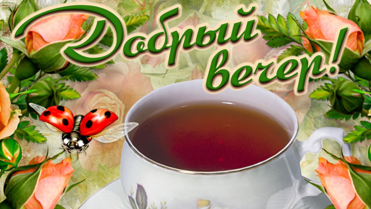 Добрый Вечер! Очень красивая музыкальная видео открытка Пожелания Доброго вечера смотреть онлайн