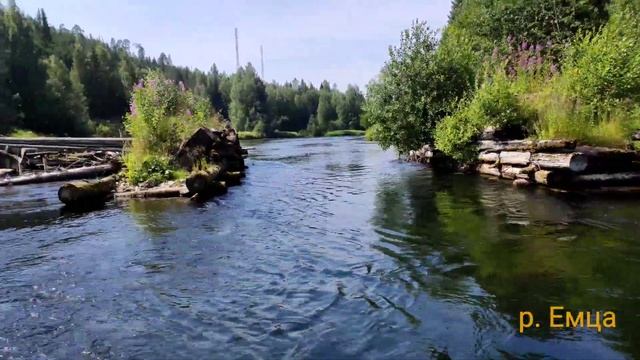 Сплав по р.Емца 07.07-10.07.21 смотреть онлайн