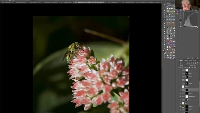 Editing Macro Images in Photoshop - a Live Event from Allan Walls Photography смотреть онлайн