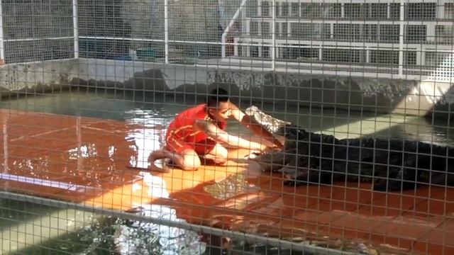 Обзорная экскурсия по Нячангу или Бай лювак))))) смотреть онлайн