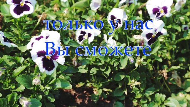 Купить торф дешево. Плодородный грунт смотреть онлайн