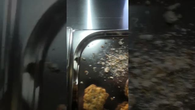 Сублимация грибов смотреть онлайн