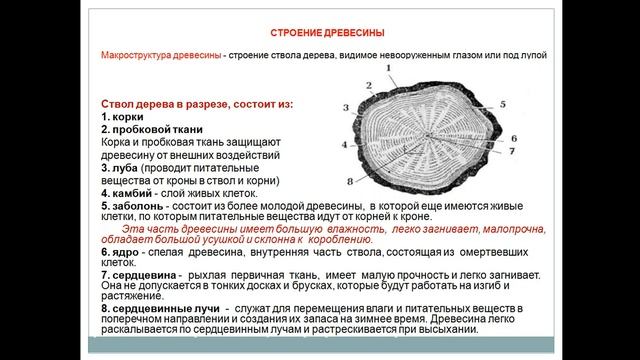6 лекция Строительные материалы и изделия из древесины смотреть онлайн