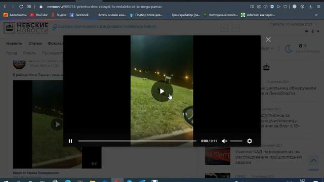 Питер Северное сияние смотреть онлайн