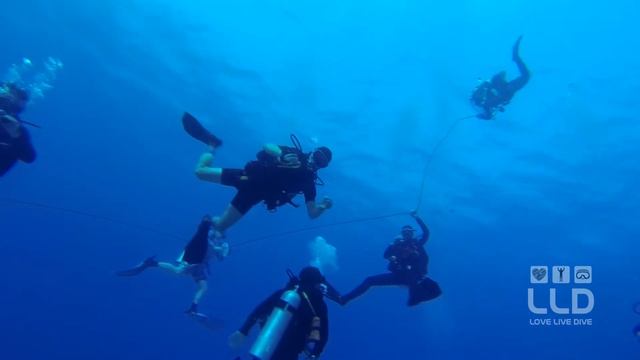 Дайвинг Сафари 