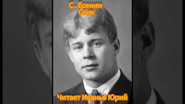 стихи Есенина смотреть онлайн