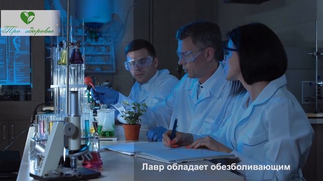 Вот зачем поджигают дома ЛАВРОВЫЙ ЛИСТ! Влияние запаха лавра, вызвало даже... смотреть онлайн