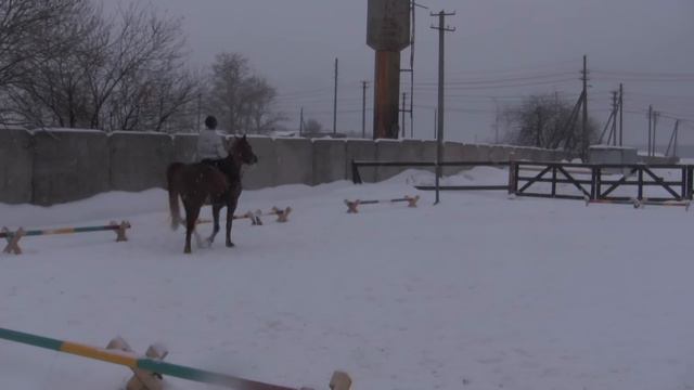 2012 02 26 12 Иванова Анна Корнет смотреть онлайн