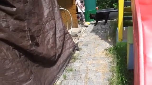 Дача Поганяли с Бенькой в футбол смотреть онлайн