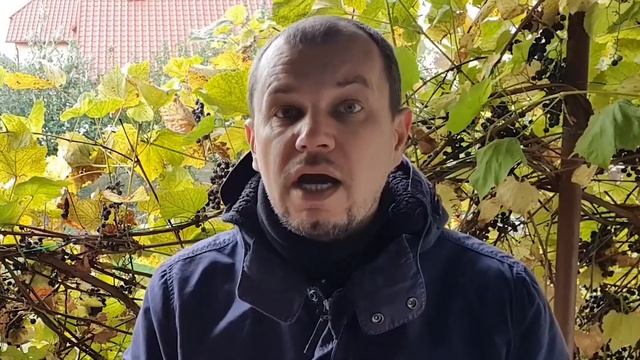 5. Катехизис Католической Церкви: Священный канон. Божественное и человеческое в Библии и История.. смотреть онлайн