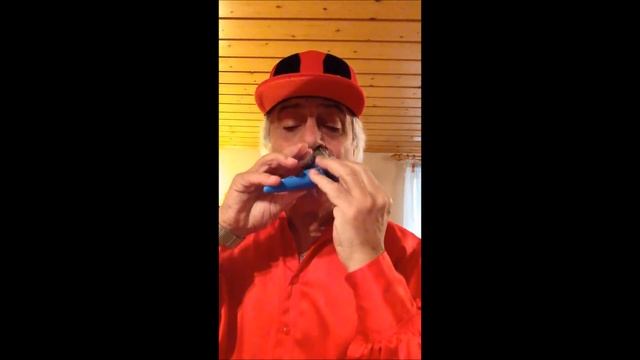 Giampiero Lucchini annuncia concerto a Bentivoglio(BO-Italia) смотреть онлайн