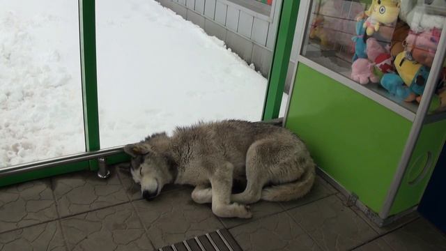 31.03.2023 Технологический перерыв. смотреть онлайн