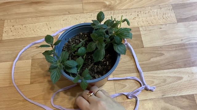 Подвес для кашпо своими руками смотреть онлайн