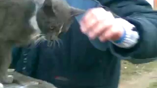 Качаем воду смотреть онлайн