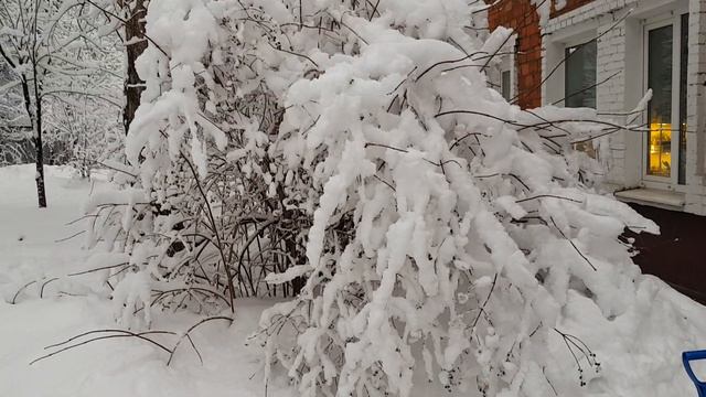 Самый красивый день зимы.👻 смотреть онлайн