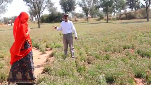 How To Picture Editing Green Background In Photoshop #18 Ek Pardesi Mera Dil Le Gaya