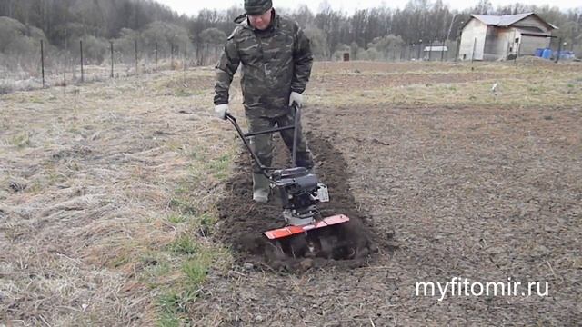 Культивирую Тарпаном смотреть онлайн