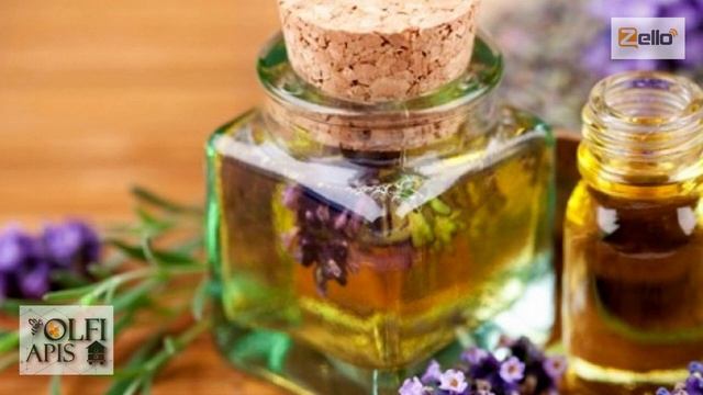 #Кашковский В. Г. Влияние эфирных масел на качество расплода. смотреть онлайн