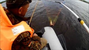 Ленинградская обл.рыбалка ОНЕГА. СУДАК на Джиг и Отводной Поводок. июль 2019.