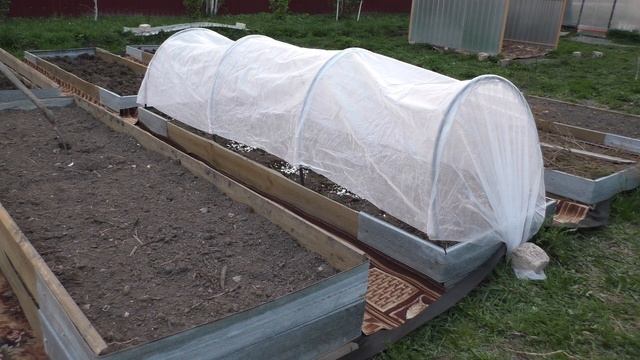 ЧЕМ ОБРАБОТАТЬ КАРТОФЕЛЬ ПЕРЕД ПОСАДКОЙ/ ПЕРЕСАДКА КАПУСТЫ В ГРЯДКИ/ ДЕРЕВНЯ/HOW TO PROCESS POTATOE смотреть онлайн