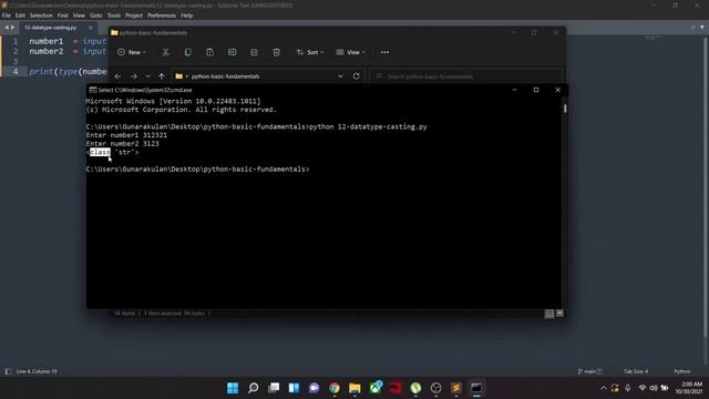 15.Casting in Python (Converting Data Types) смотреть онлайн