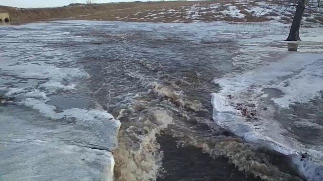 Ручьи.Талая вода с полей смотреть онлайн