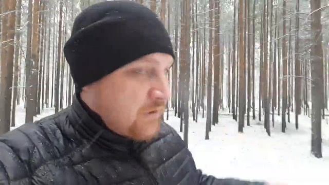 Первый Снег/ 11 Октября/ Который лёг. смотреть онлайн
