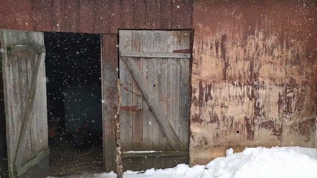 ВЫРОС ХРАБРЫЙ КОТЁНОК КРЫСОЛОВ. смотреть онлайн