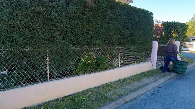 Как мы живём во Франции. Садовые работы. Карантин.